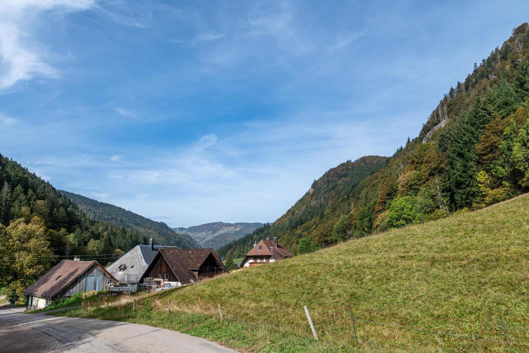 Gasthaus Zur Linde- Napf Oberried  Eksteriør billede